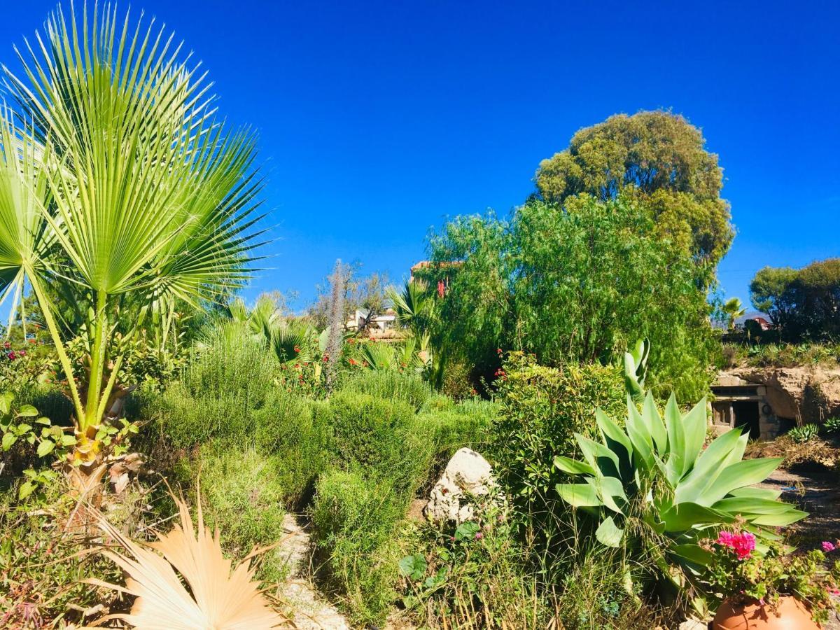 Tenerife Nature Retreat Ifonche 외부 사진