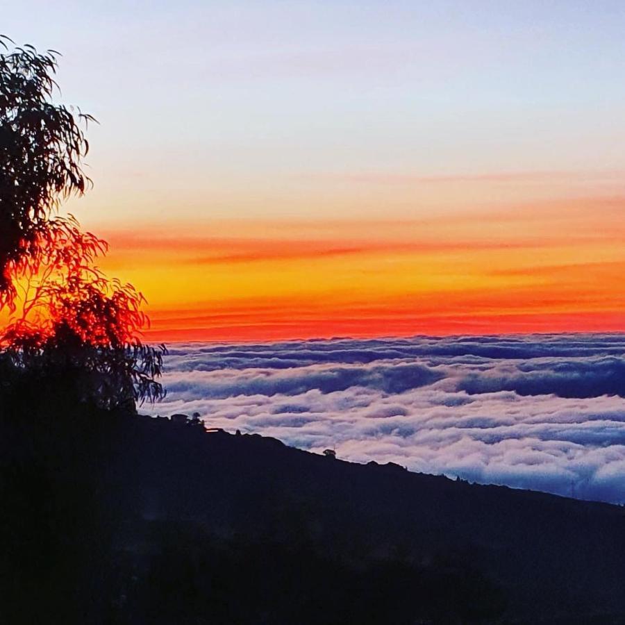 Tenerife Nature Retreat Ifonche 외부 사진